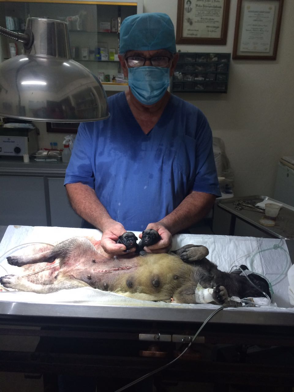 Doctor Roberto Lopez Ocaña