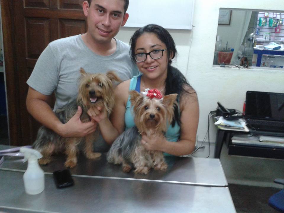 Resultados Veterinaria El Gran Danes