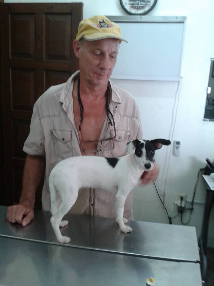 Resultados Veterinaria El Gran Danes