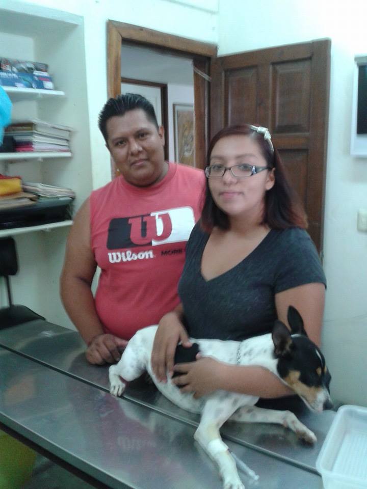 Resultados Veterinaria El Gran Danes