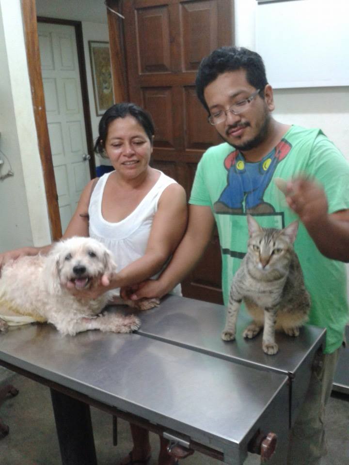 Resultados Veterinaria El Gran Danes