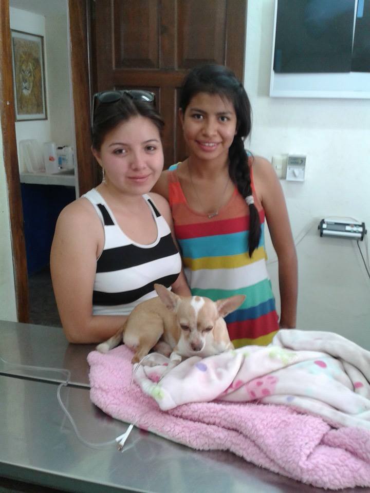 Resultados Veterinaria El Gran Danes