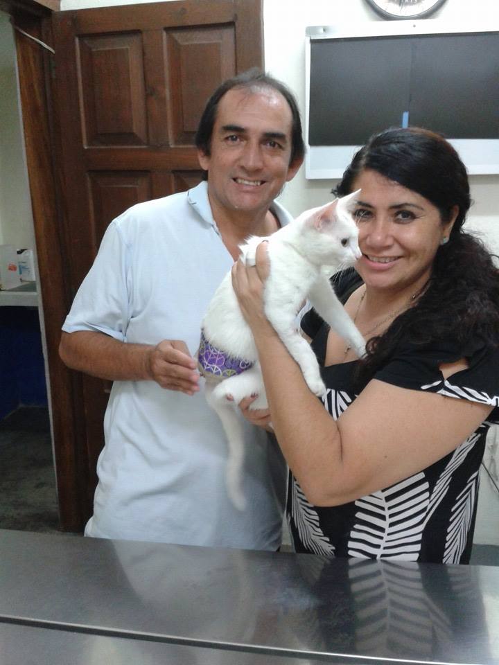 Resultados Veterinaria El Gran Danes