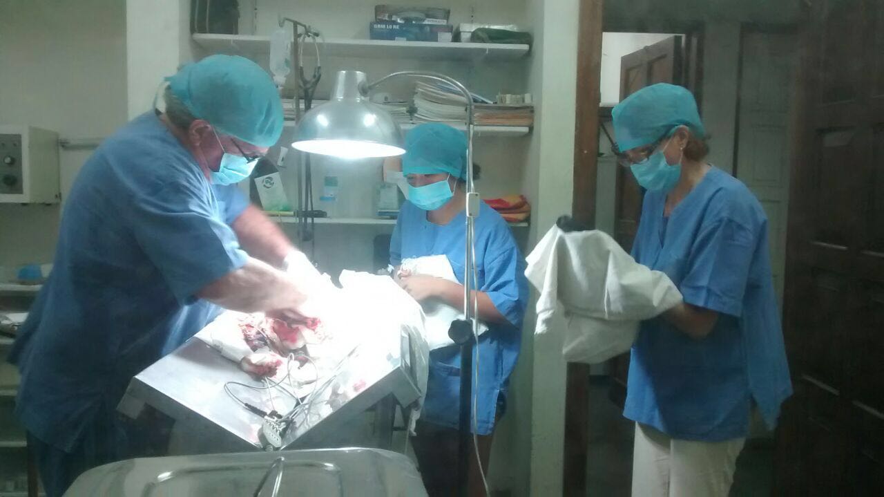 Doctor Roberto Lopez Ocaña