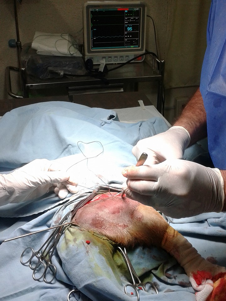 Doctor Roberto Lopez Ocaña