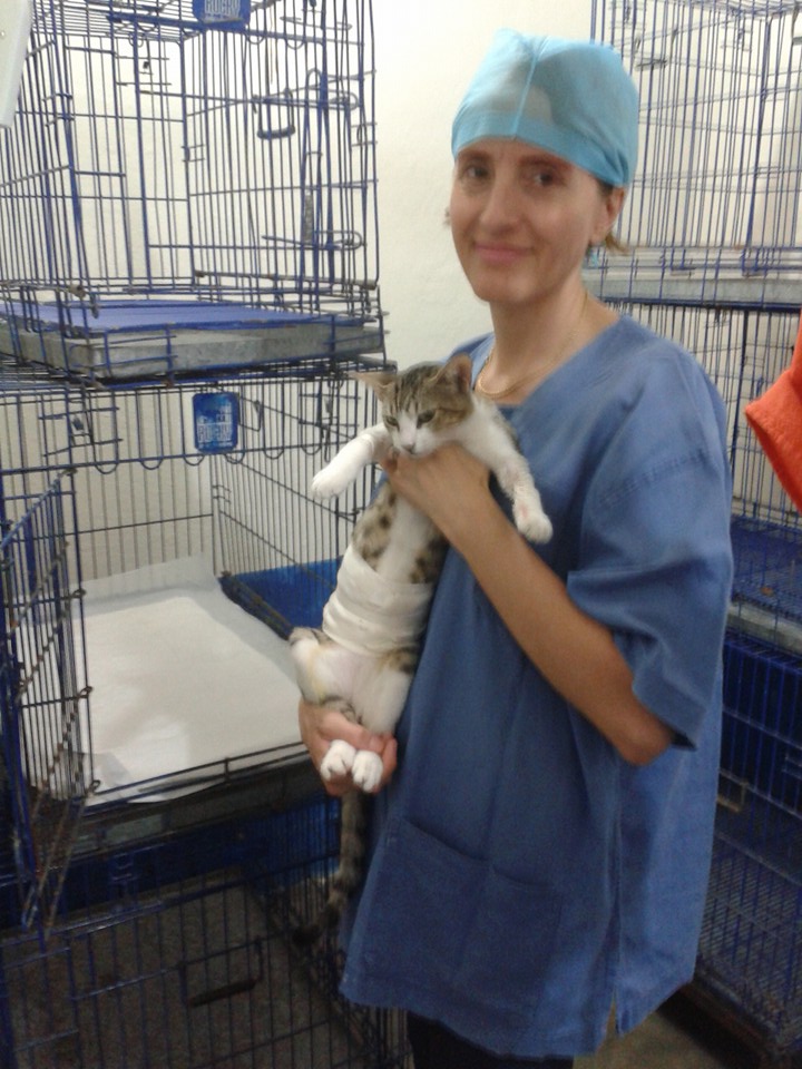 Resultados Veterinaria El Gran Danes