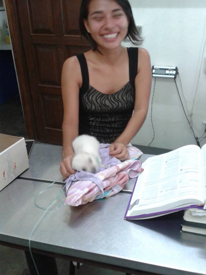 Resultados Veterinaria El Gran Danes