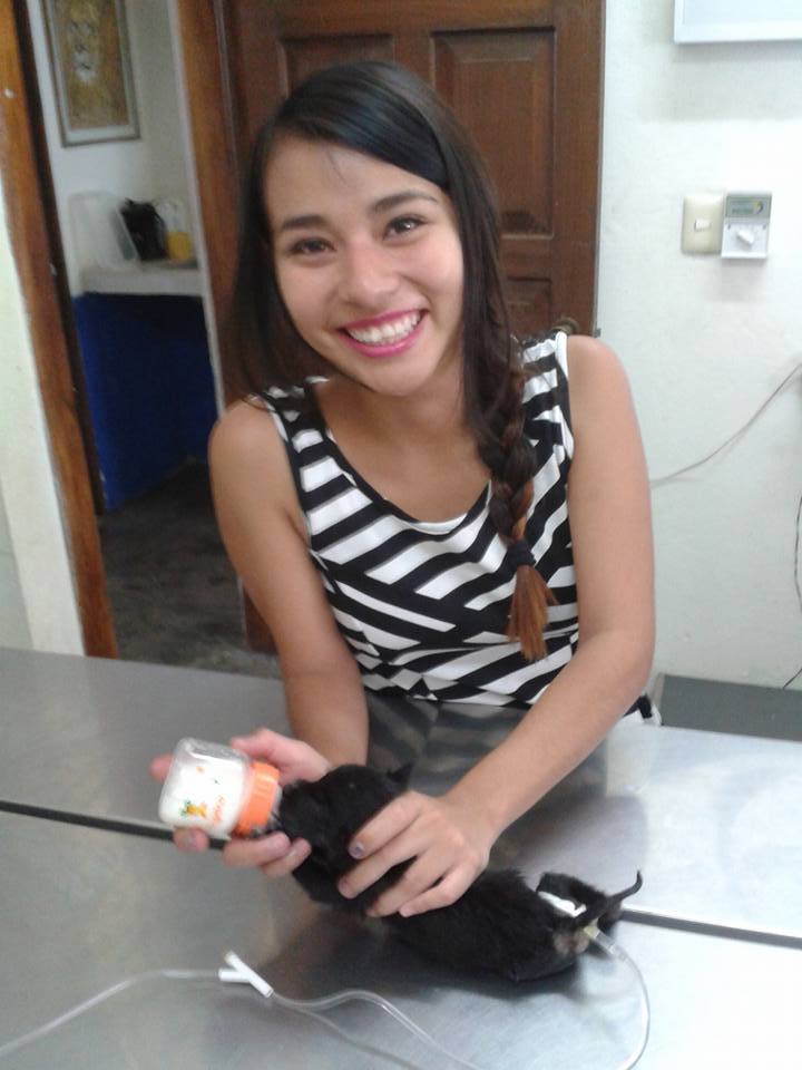 Resultados Veterinaria El Gran Danes