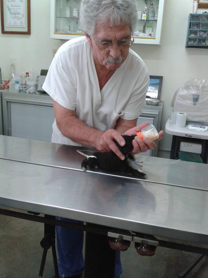 Doctor Roberto Lopez Ocaña